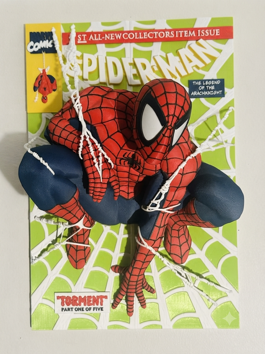Spiderman 3D Wall Art